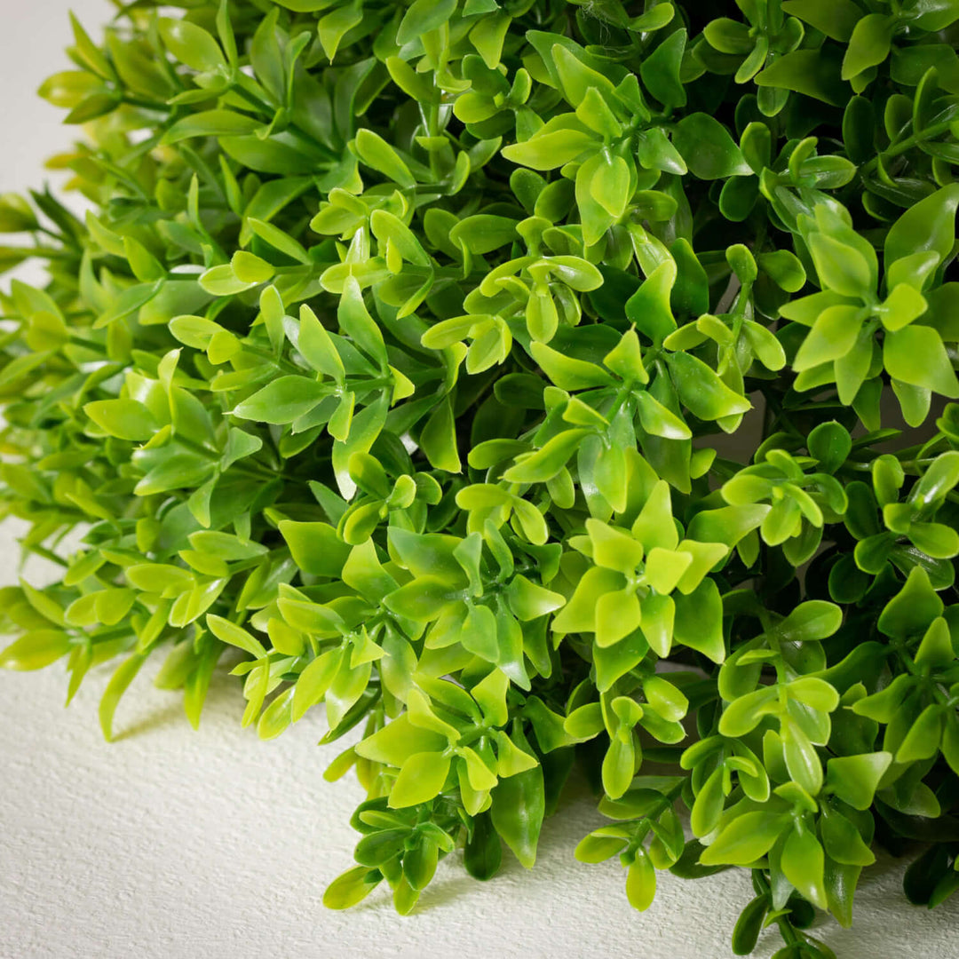 13" Leafy Boxwood Half Orb