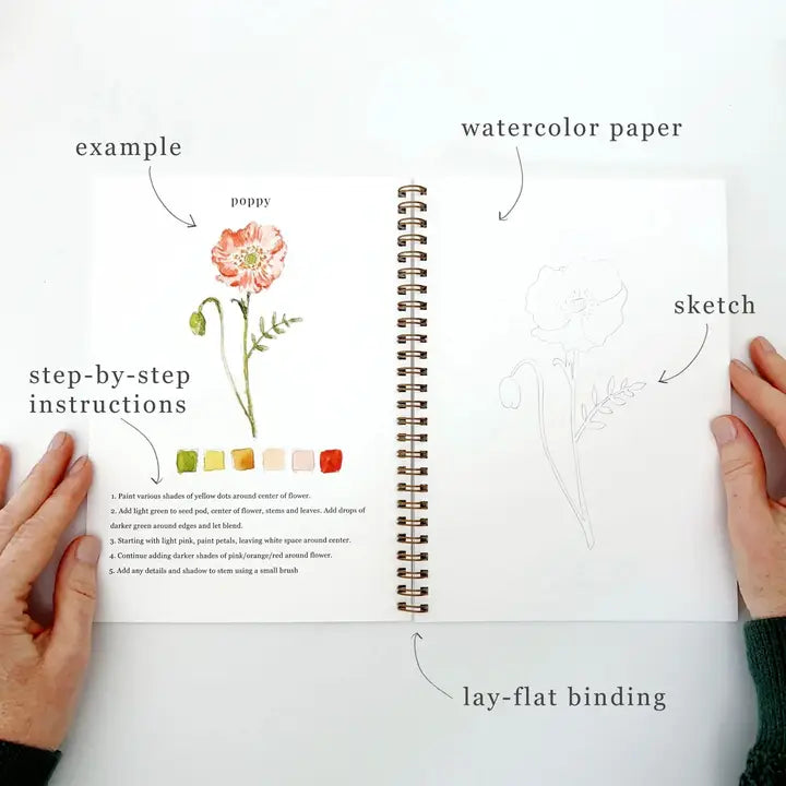 Watercolor Painting Workbooks, Step-by-Step Art Books