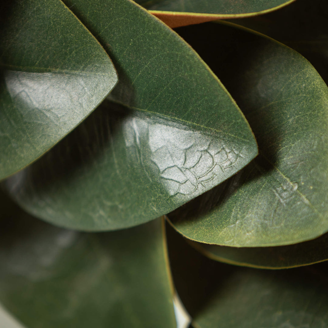 20" Magnolia Leaf Wreath