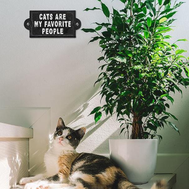 "Cats are my Favorite..." Sign, 6"