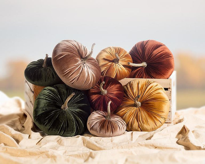 Velour Velvet Pumpkins