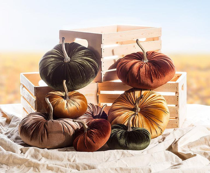 Velour Velvet Pumpkins