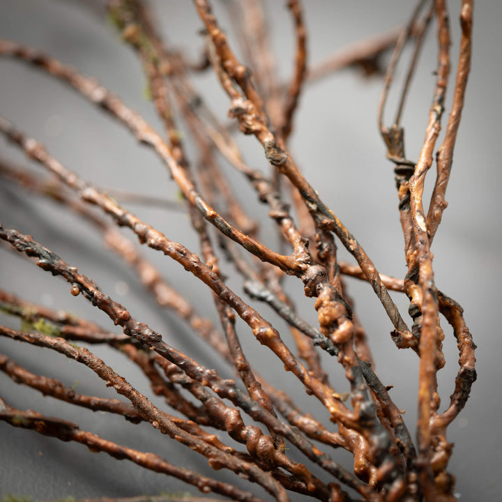 Budding Twig Bush Pick
