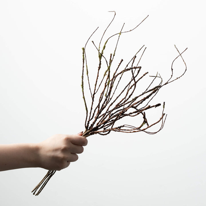 Budding Twig Bush Pick