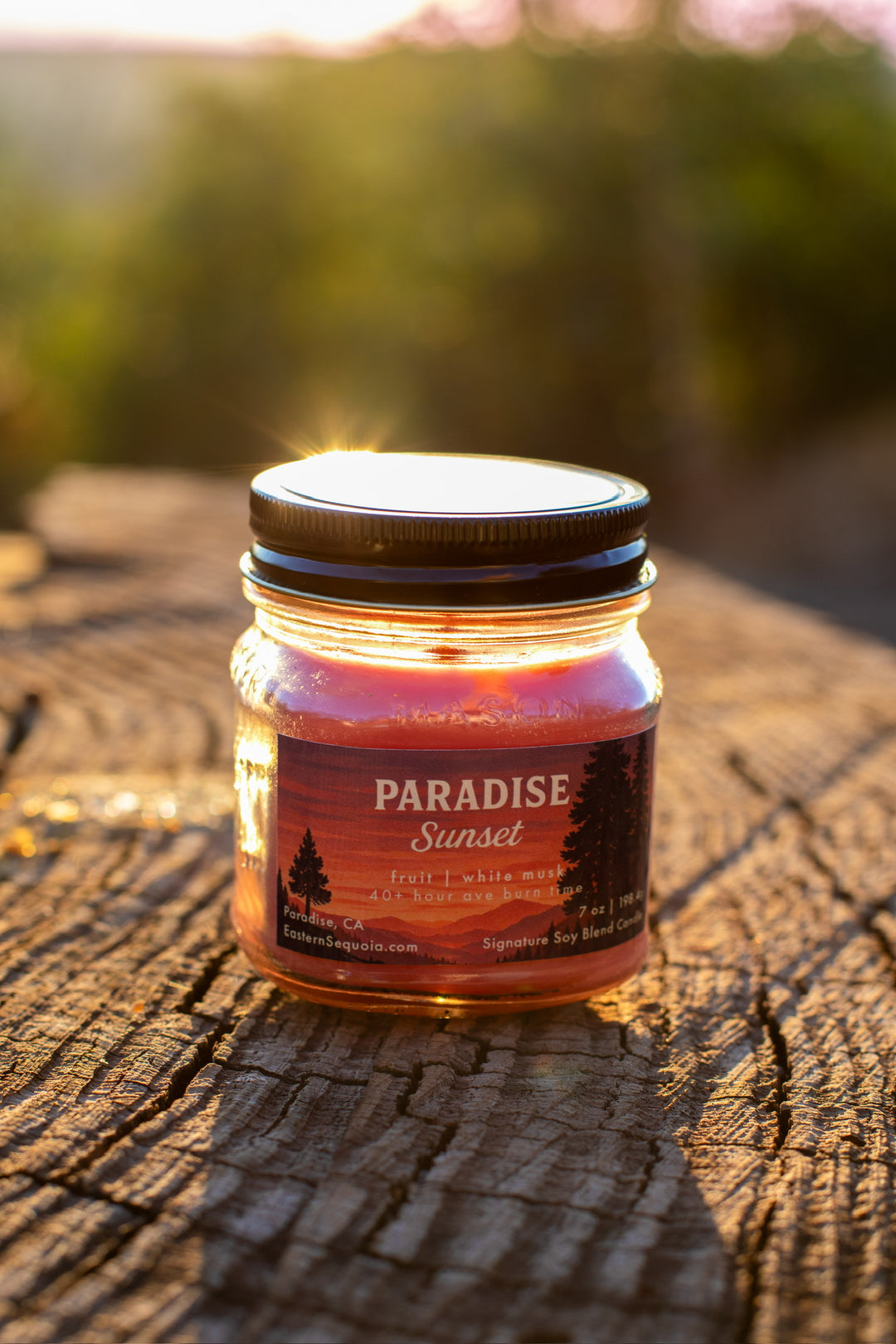 Paradise Sunset Candle, 7oz