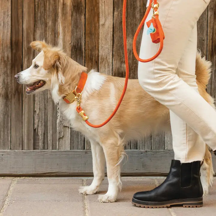 Cider Waxed Canvas Dog Poop Bag Dispenser