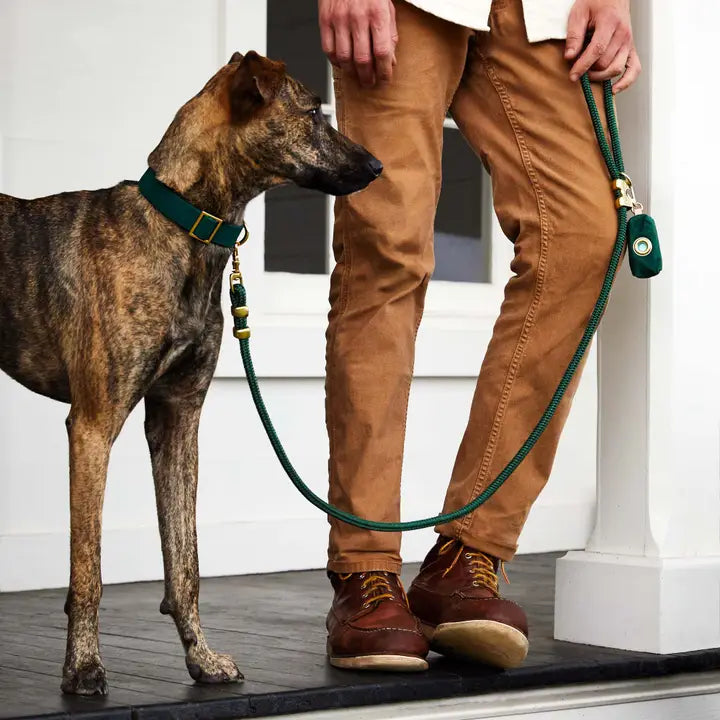 Evergreen Marine Rope Dog Leash, 5 Foot