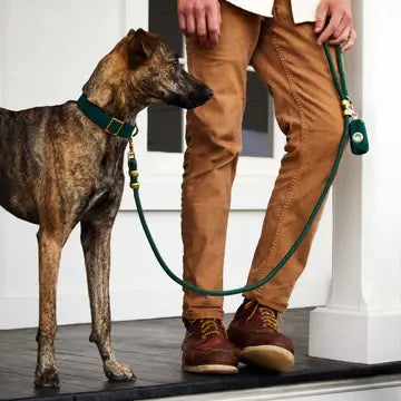 Evergreen Waxed Canvas Dog Poop Bag Dispenser