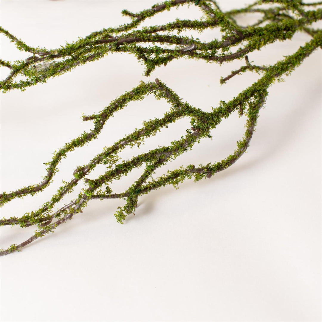 Mossy Drop Branch