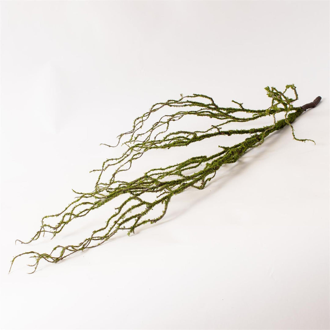 Mossy Drop Branch