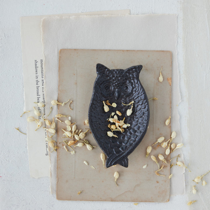 Cast Iron Owl Trinket Dish