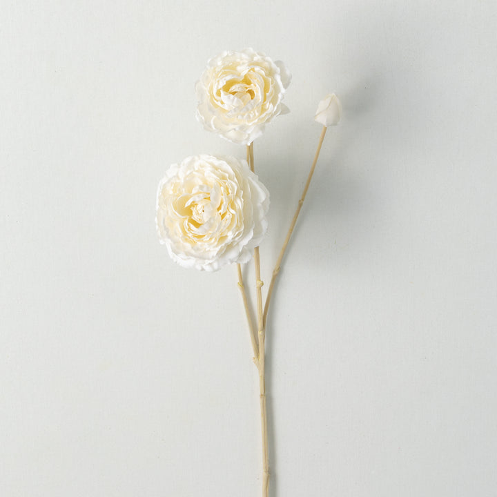 Cream Ranunculus Spray