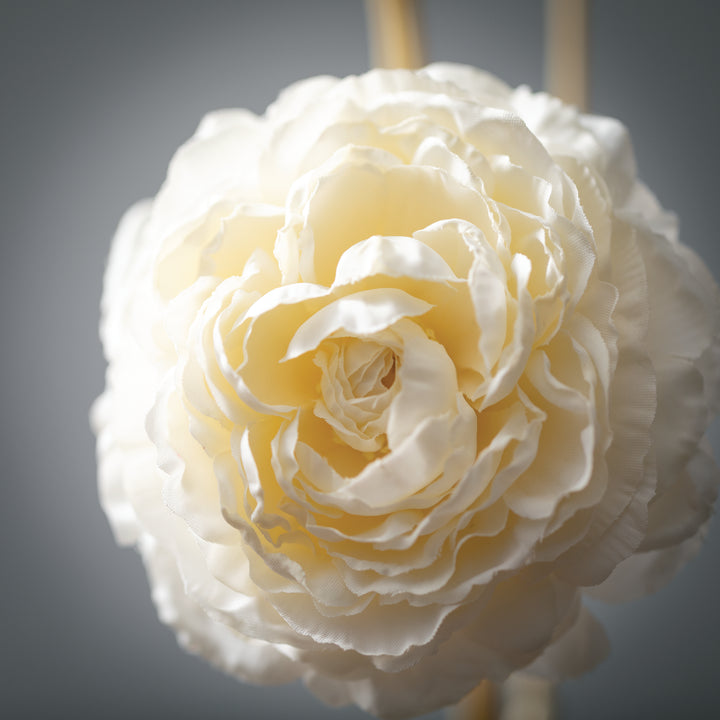 Cream Ranunculus Spray