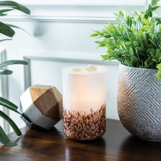 Speckled Tiger Shell Illuminated Fragrance Warmer