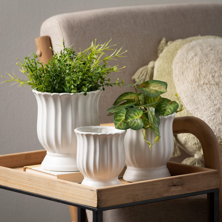 Scalloped Urn Planter, Matte White