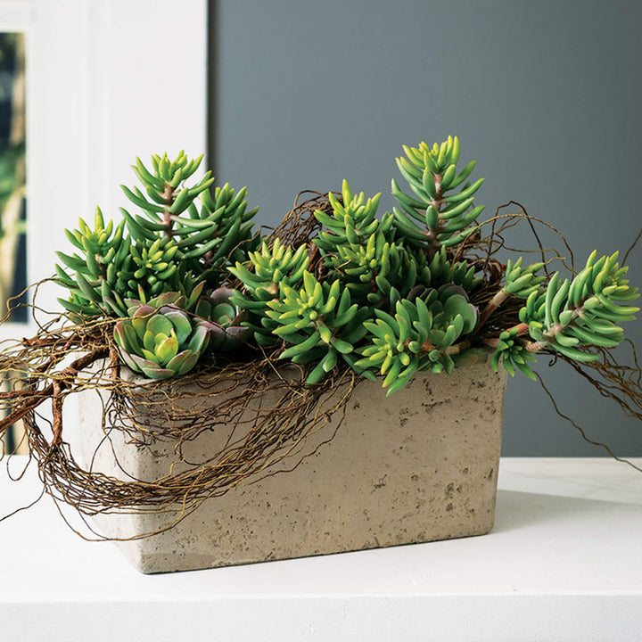 Cement Planter