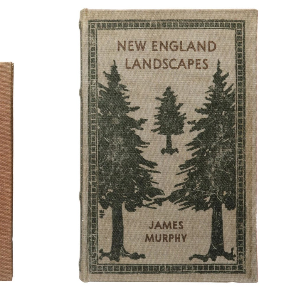 Book Storage Boxes