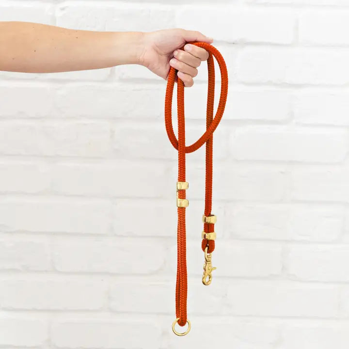 Cider Marine Rope Dog Leash, 5 Foot