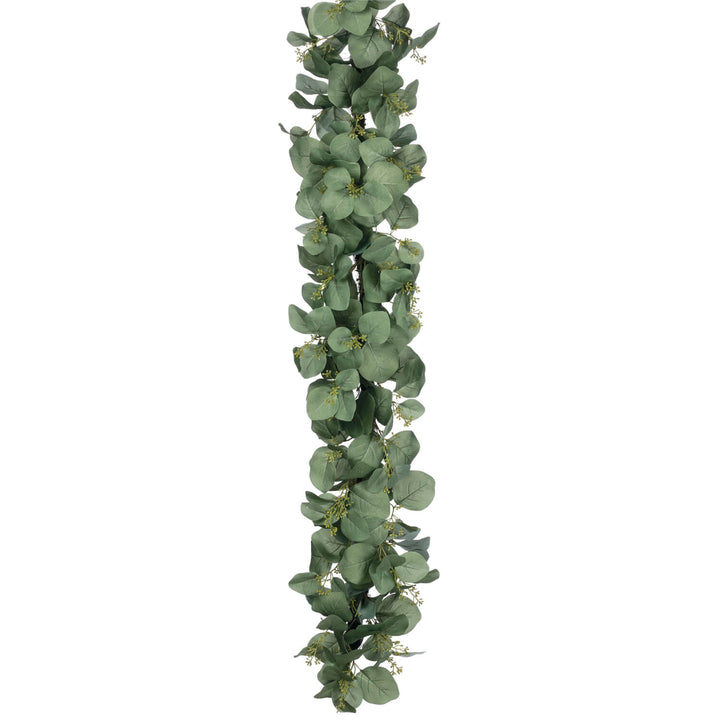 6&