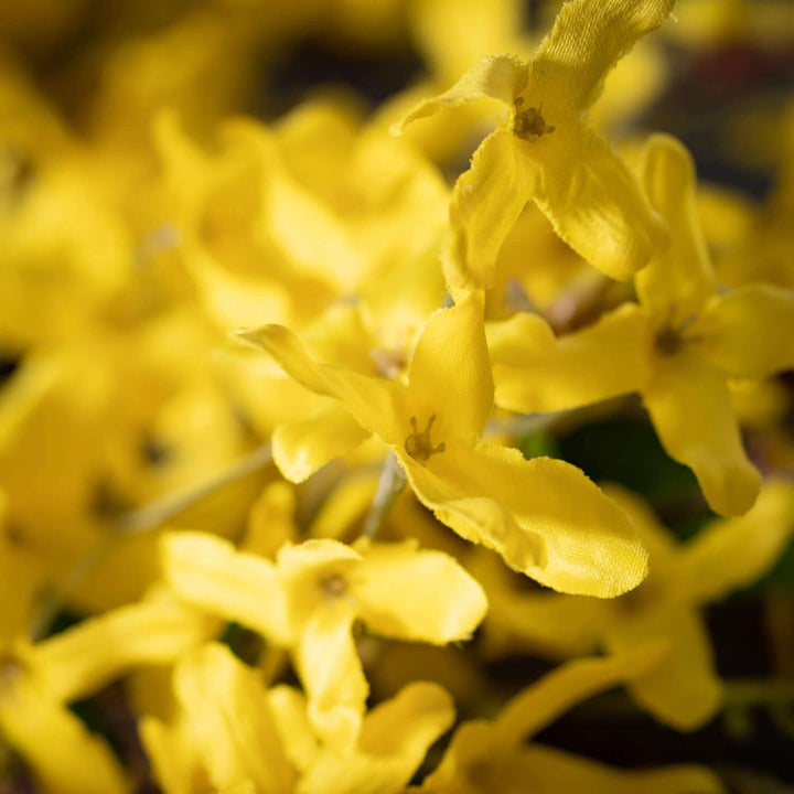 24" Forsythia + Twig Wreath