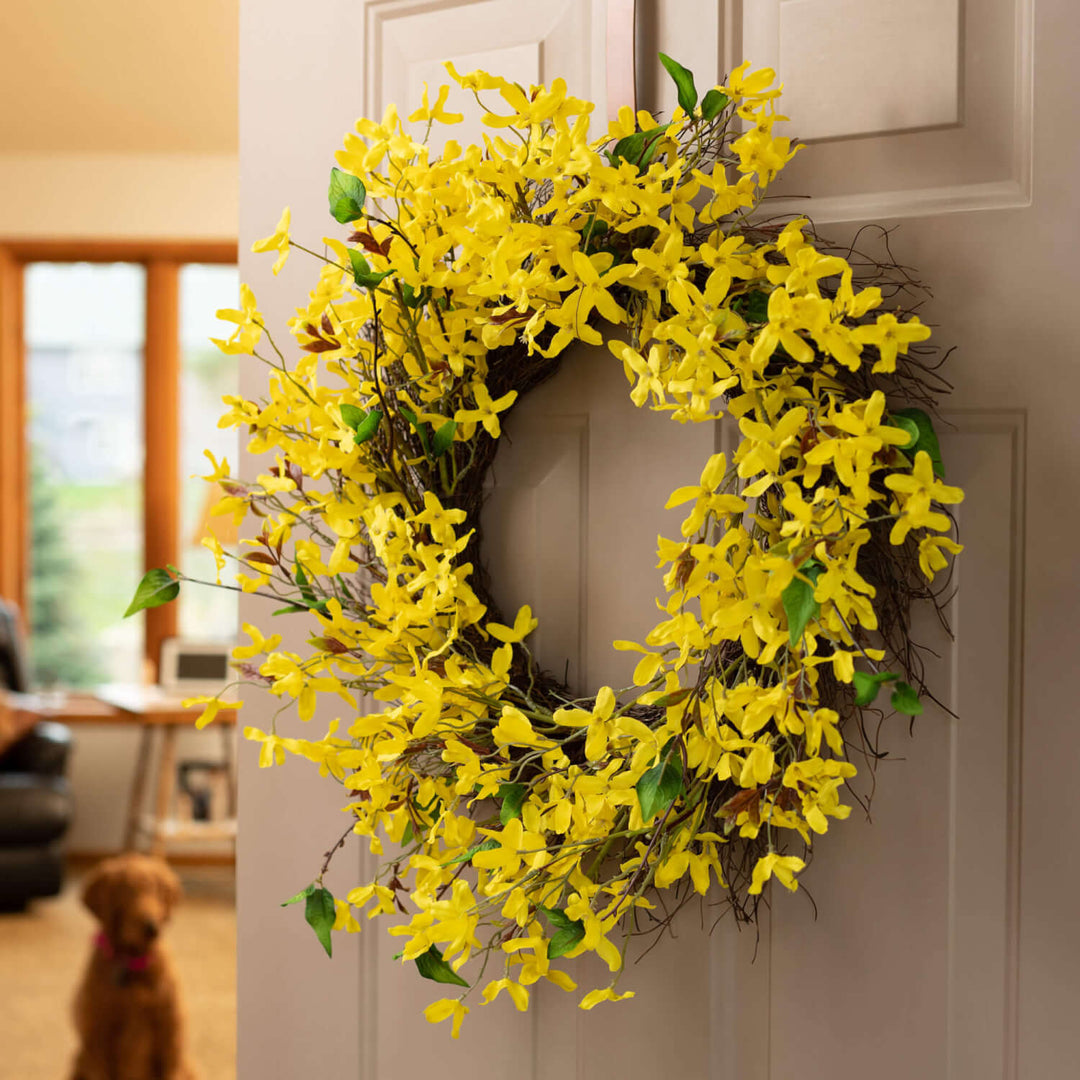 24" Forsythia + Twig Wreath