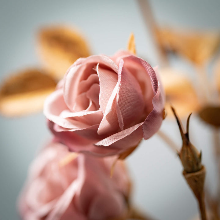27" Blush Pink Multi-Bloom Rose Stem