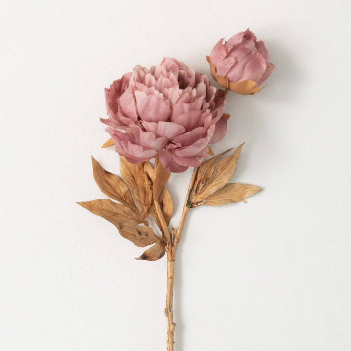 22" Blush Blooming Peonies
