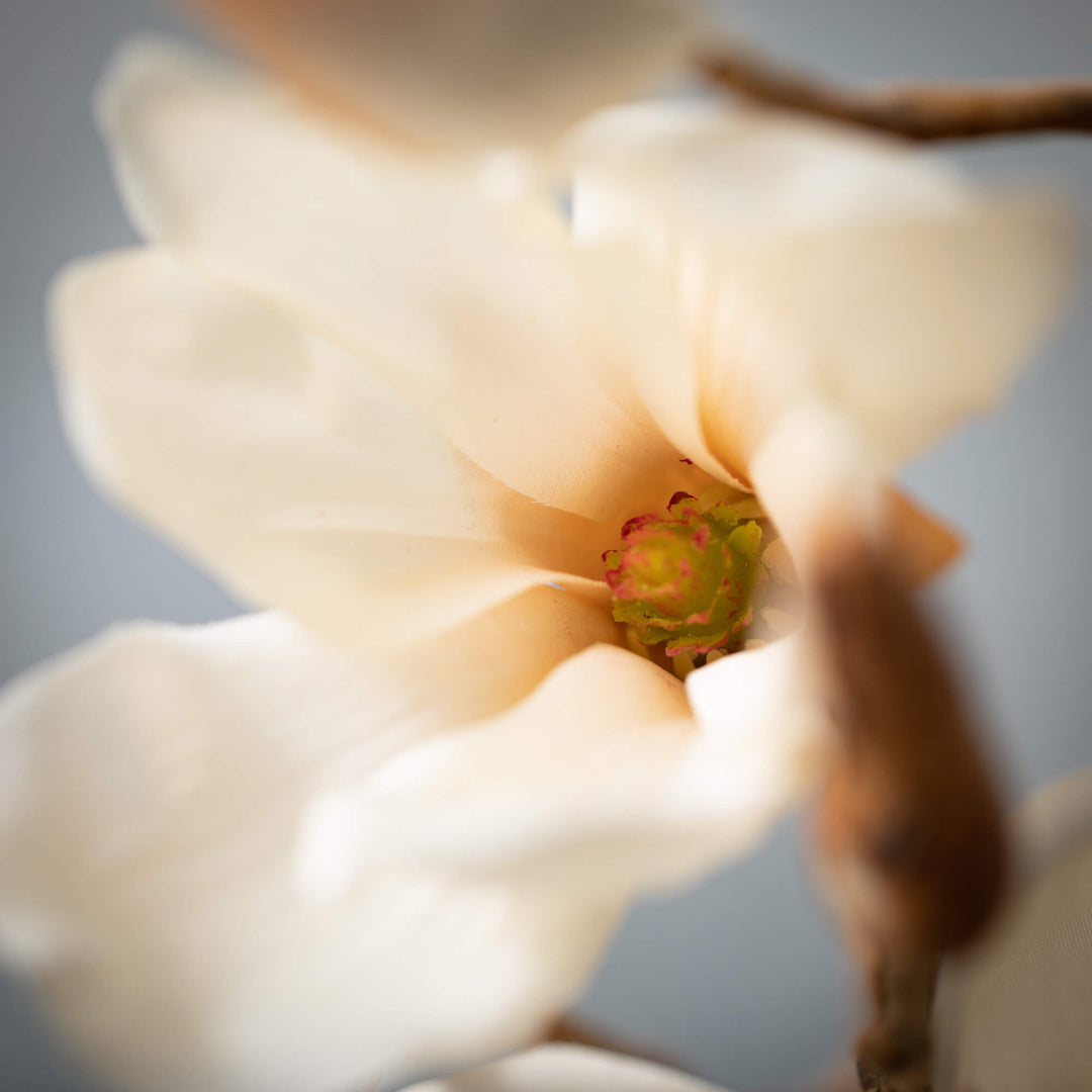 27" Cream Blooming Magnolia Branch