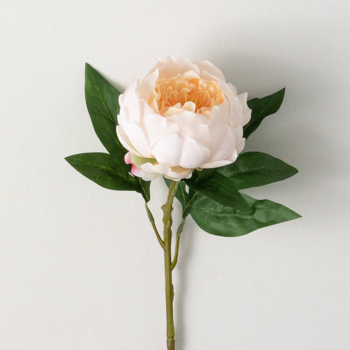 23" Peony Sprig, Soft Peach