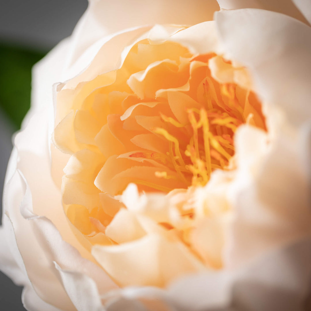 23" Peony Sprig, Soft Peach