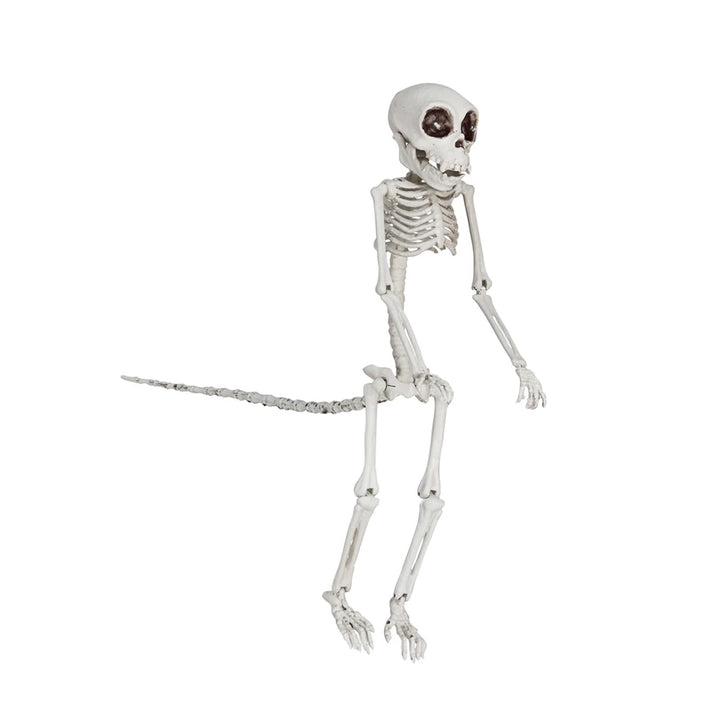 Monkey Skeleton Plastic Halloween Accent