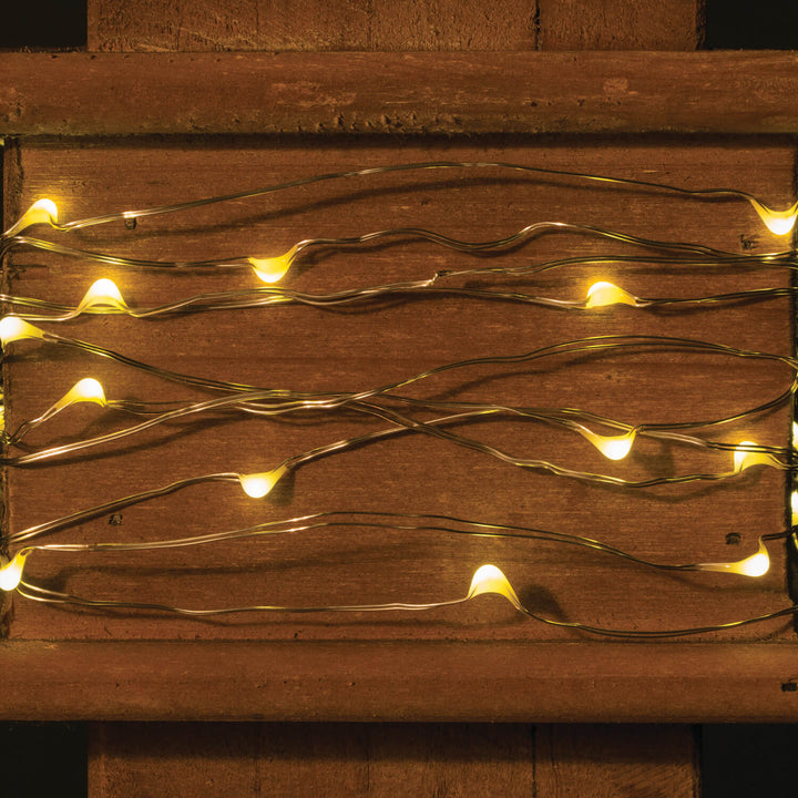 LED Light Strand 40 Lights, 12&
