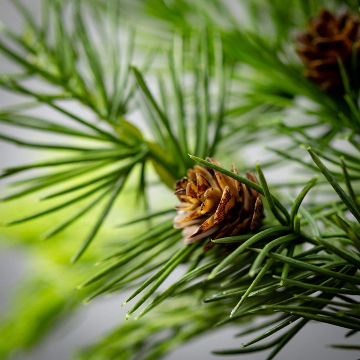 Lush Green Cedar Spray, 32"