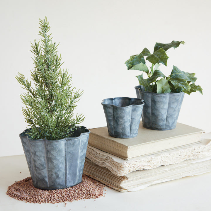 Galvanized Metal Scalloped Planter