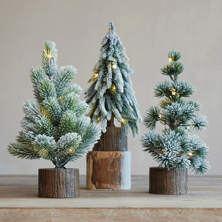 Three small artificial Christmas trees with lights on a wooden surface.
